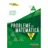 Probleme de matematica pentru clasa a XII-a. 2019-2020 - Lucian Dragomir,Adriana Dragomir,Ovidiu Badescu