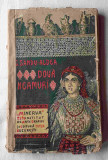 Doua Neamuri - Sandu Aldea, carte veche anul 1919, editia a 3a ilustrata