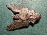 Insigna pilot militar Cl 1 1978 1989 RSR