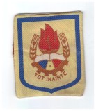 Ecuson pionieri galben