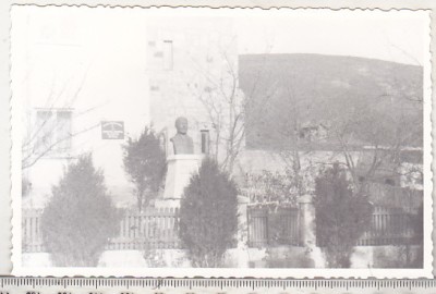 bnk foto Soveja - Primaria si bustul lui Simion Mehedinti foto