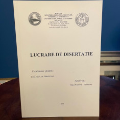 Univ Vasile Alecsandri Bacău Biografia operei literare Studiu caz NICOLAE LABIȘ