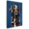 Tablou Canvas Caine Retriever Blana Neteda, 60x80 cm, Cu Rama, Negru Albastru, Decor Living/Birou, Imprimat Digital