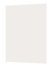 Filtru Polarizare iPad Mini 5 (2019) A2133, A2124, A2126, A2125 (Min. 5 buc.)