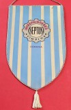 Fanion comunist - INTREPRINDEREA "NEPTUN" CAMPINA (dimensiuni mari 30x18 cm)