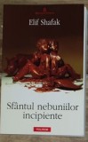 Elif Shafak - Sfantul Nebuniilor Incipiente
