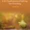 Undoing Aloneness and the Transformation of Suffering into Flourishing AEDP 2.0