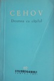 Doamna cu catelul - A. P. Cehov - Carte beletristica