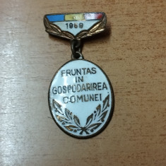 AMS# - INSIGNA FRUNTAS IN GOSPODARIREA COMUNEI 1969