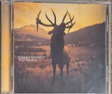 cd kosheen resist