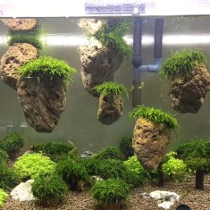 Pietre decorative plutitoare pentru acvariu foto
