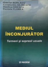 MEDIUL INCONJURATOR. TERMENI SI EXPRESII UZUALE-G. BURLACU, C. SILINESCU, V. DAESCU, D. FLOREA-247425