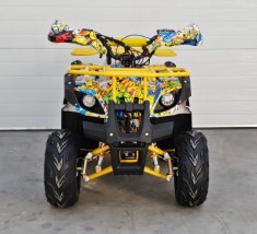 ATV NITRO TORONTO foto