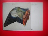HOPCT 23134 ARIPA-DURER -MUNCHEN-GERMANIA-- CP PICTURA --NECIRCULATA