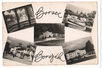 CPI B 10905 CARTE POSTALA - BORSEC. MOZAIC, RPR foto