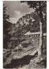 CPIB 22713 - CARTE POSTALA - MUNTII BUCEGI. CABANA &quot;MALAESTI&quot;, RPR, Circulata, Fotografie