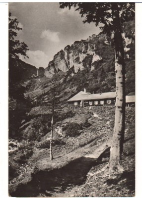 CPIB 22713 - CARTE POSTALA - MUNTII BUCEGI. CABANA &amp;quot;MALAESTI&amp;quot;, RPR foto