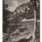 CPIB 22713 - CARTE POSTALA - MUNTII BUCEGI. CABANA &quot;MALAESTI&quot;, RPR