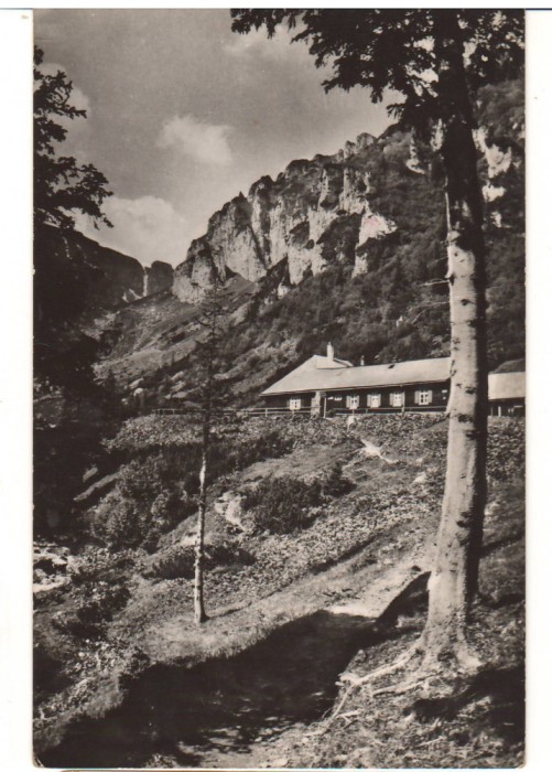 CPIB 22713 - CARTE POSTALA - MUNTII BUCEGI. CABANA &quot;MALAESTI&quot;, RPR