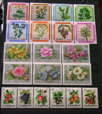 Timbre STRAINE FLORA-1 PLANSA foto