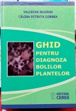 Ghid pentru diagnoza bolilor plantelor -