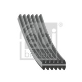 FEBI BILSTEIN 34459 Curea transmisie cu caneluri