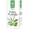 TINCTURA FRUNZE MASLIN 50ML