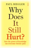 Why Does It Still Hurt?: How the Power of Knowledge Can Overcome Chronic Pain
