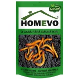 Cumpara ieftin Capcana vegetala impotriva viermilor sarma pentru radacini si seminte