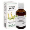 EXTRACT DIN AMENTI DE SALCIE 50ML, Plantextrakt