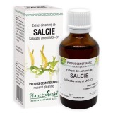 EXTRACT DIN AMENTI DE SALCIE 50ML, Plantextrakt