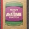 NOTIUNI DE ANATOMIE PRACTICA - Diaconescu, Rottenberg