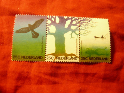 Serie Olanda 1974 - NATURA ,straif, 3 valori foto