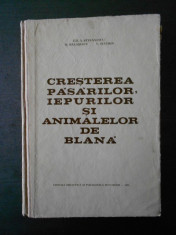 GH. A. STEFANESCU - CRESTEREA PASARILOR, IEPURILOR SI ANIMALELOR DE BLANA foto