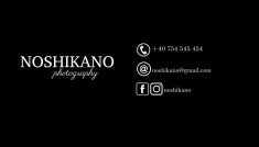 Carti de vizita - Business cards / limba romana sau engleza foto