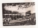 FA141 -Carte Postala- ITALIA - Marina Di Pietrasanta - Focette. La Bussola, circulata 1962, Fotografie