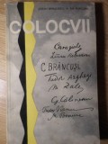 COLOCVII. ARTISTUL SI EPOCA-STEFAN BANULESCU, ILIE PURCARU