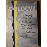 COLOCVII. ARTISTUL SI EPOCA-STEFAN BANULESCU, ILIE PURCARU-115938