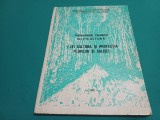 CULTURA ȘI PROTECȚIA PLOPILOR ȘI SALCIEI * &Icirc;NDRUMĂRI TEHNICE SILVICULTURĂ /1982 * 14