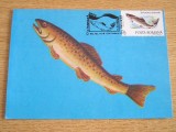 C12 - maxima Romania - tematica pesti 4 - prima zi a emisiunii sau expozitii, Romania de la 1950, Fauna