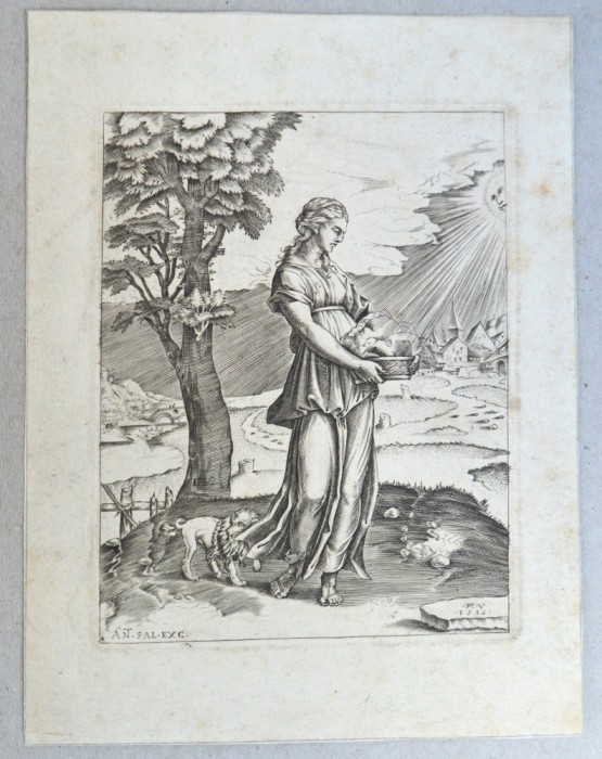 Agostino Veneziano &quot;Sibila cumeană&quot; gravura 1516