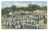 4591 - ETHNIC, Hora dance, Romania - old postcard - unused, Necirculata, Printata