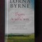 INGERI IN PARUL MEU, POVESTEA ADEVARATA A UNEI MISTICE ADEVARATE DIN IRLANDA ZILELOR NOASTRE - LORNA BYRNE