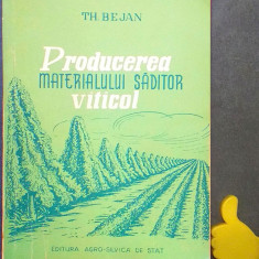 Producerea materialului saditor viticol Theodor Bejan
