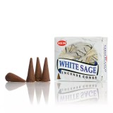 Cumpara ieftin Conuri Parfumate - 10 Buc - White Sage