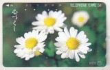 bnk card Cartele telefonice - Japonia - flora - flori