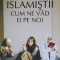 Islamistii cum ne vad ei pe noi - Anne Nivat