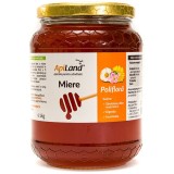 Miere Cruda Poliflora 1kg