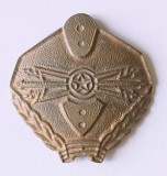 INSIGNA SPECIALIST CLASA TRANSMISIUNI BLANC NEFINISAT ARMATA MINISTERUL APARARII TANSMISIONIST TRANSMISIONISTI ( CITITI DESCRIEREA )