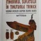 ITINERARUL SUFLETULUI IN TINUTURILE TAINICE - VIZIUNEA VECHILOR EGIPTENI ASUPRA MORTII de ANDREAS SCHWEIZER , 1999